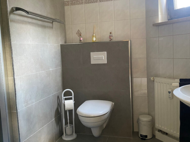 Badezimmer Ferienwohnung Erzgebirge